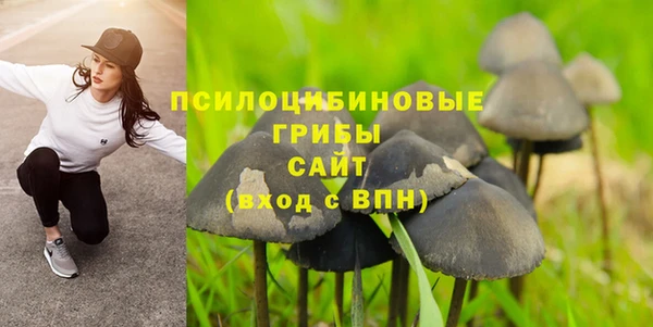 jwh Медногорск